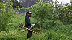 CONVOCATORIA PARA LA CONTRATACION UNA PERSONA
