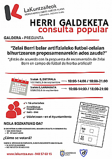 CONSULTA POPULAR: HIERBA ARTIFICAL EN ZELAI BERRI?